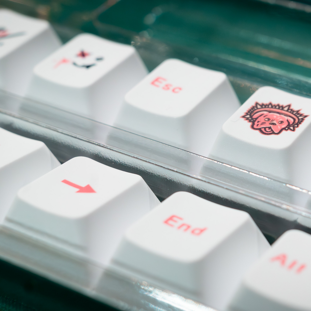 Nahaufnahme der weiß-pinken ANVIL x Gottlos auf Mutter Keycaps, Limited Edition