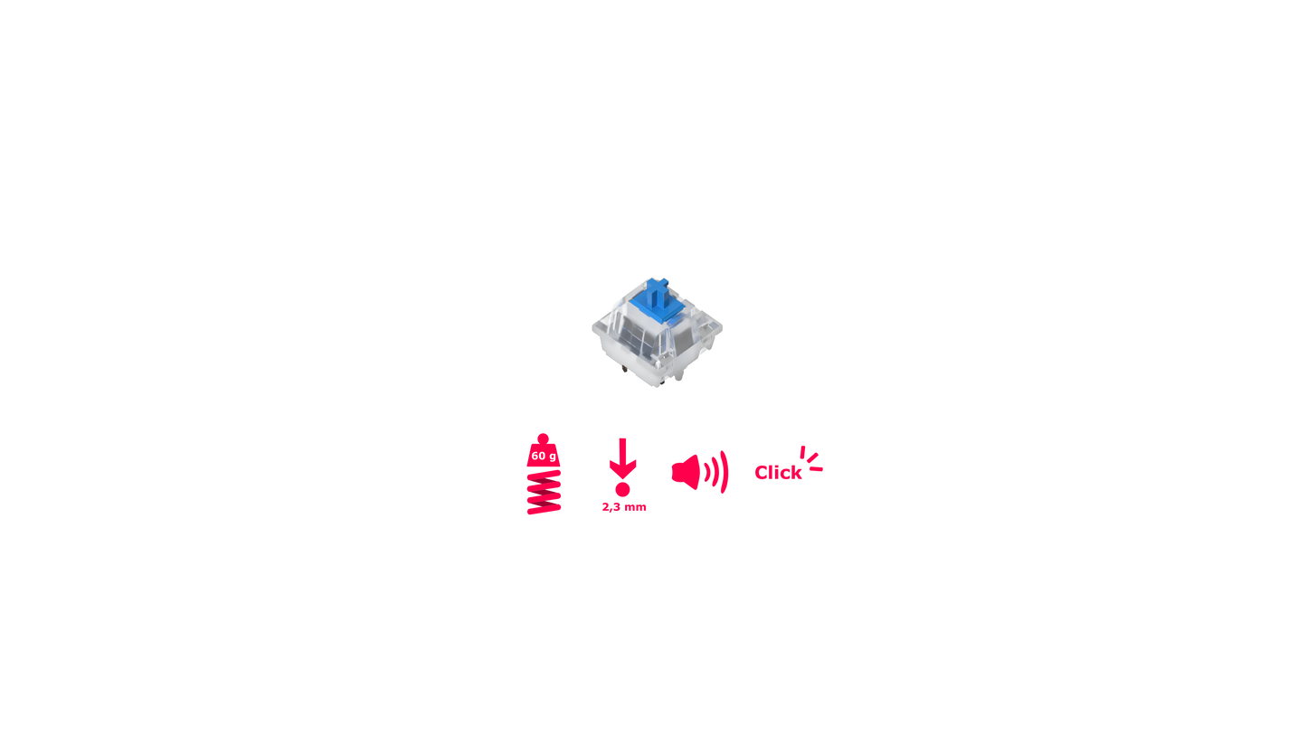 GATERON Switches