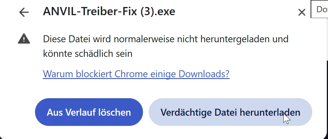 Chrome-Download-Verlauf mit der Option „Verdächtige Datei herunterladen“